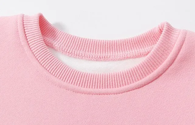 Embroidered Tiny Bear Winter Fleece Sweatshirt